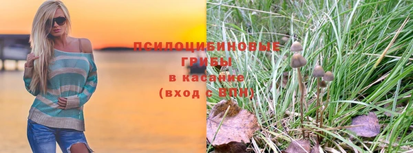 spice Покровск