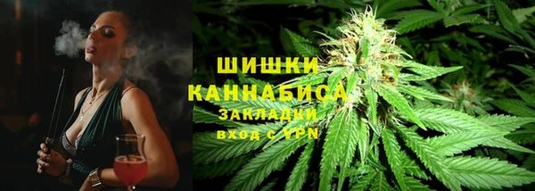 mdpv Белокуриха