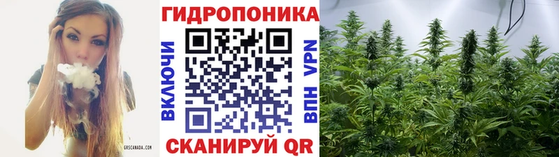 где можно купить   Малая Вишера  мега ссылка  Бошки марихуана SATIVA & INDICA 